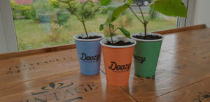 our planet planted coffee cups