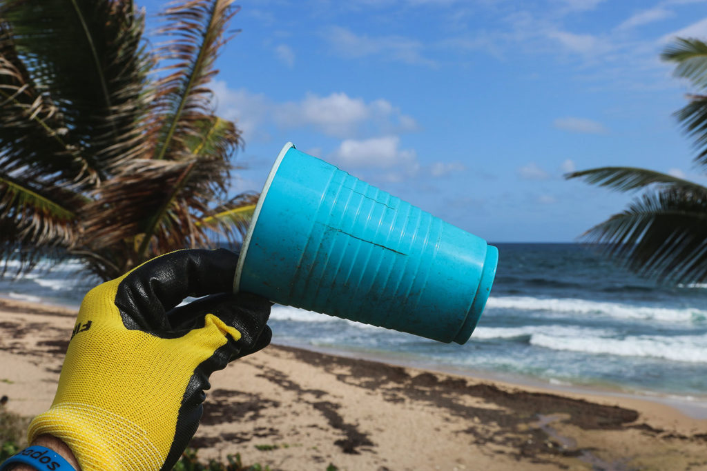 plastic free vending beach cup
