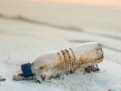 plastic free vending bottle