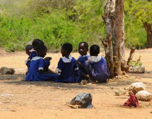 children gathered under a tree