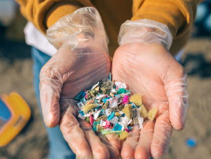 micro plastics